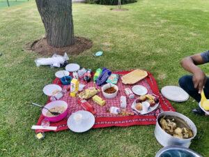Picnic