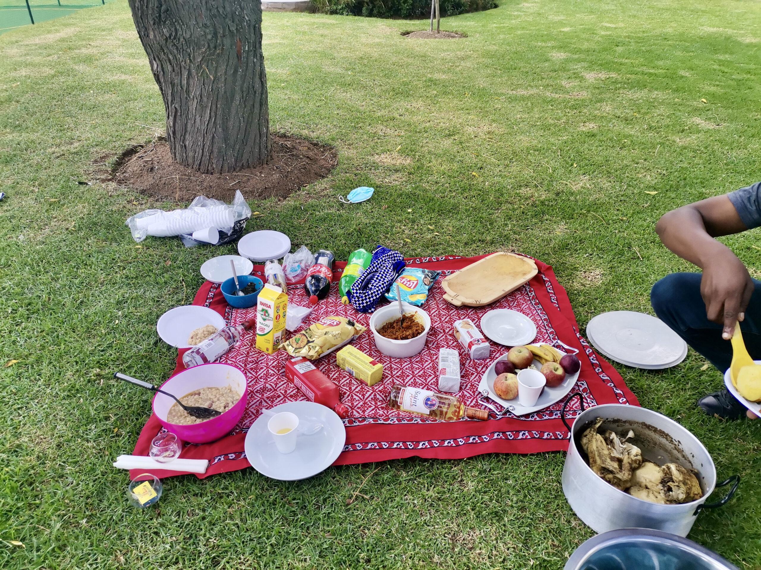 Picnic