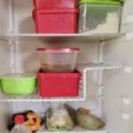 Contents of fridge