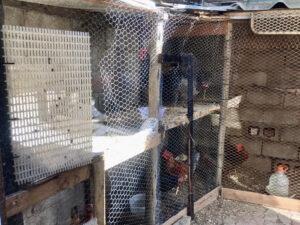 Chicken coop
