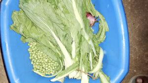 Fresh vegetables