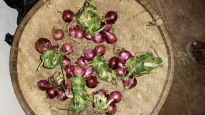 Fresh red onions