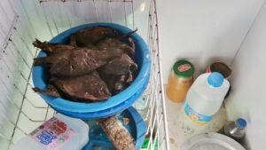 Fridge with fresh fish