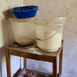 Food storage containers with maize flour