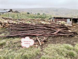 Fire wood