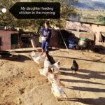 Girl feeding chickens