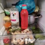 Fridge shelf with sweetcorn, cabbage, cold water, a pot of leftovers and vegetable drawer with mushrooms and fruit