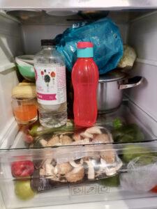 Fridge shelf with sweetcorn, cabbage, cold water, a pot of leftovers and vegetable drawer with mushrooms and fruit