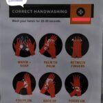 Correct handwashing procedure - COVID-19 poster