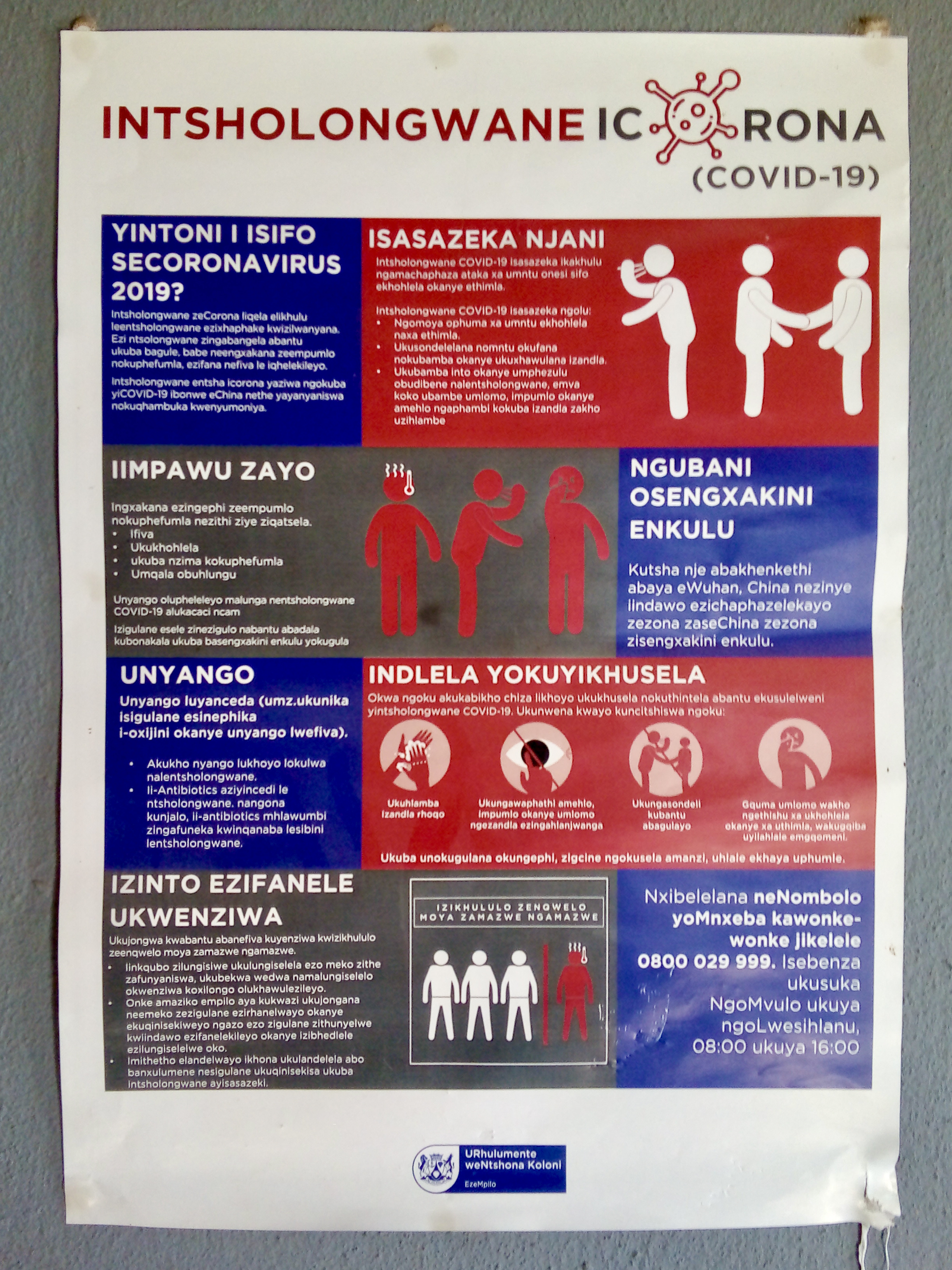 isiXhosa COVID-19 information poster at clinic